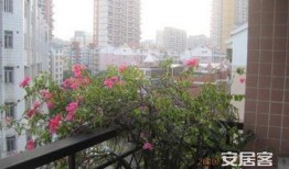 铜兴花园爆料最新消息今天,揭秘小区动态与神秘事件！